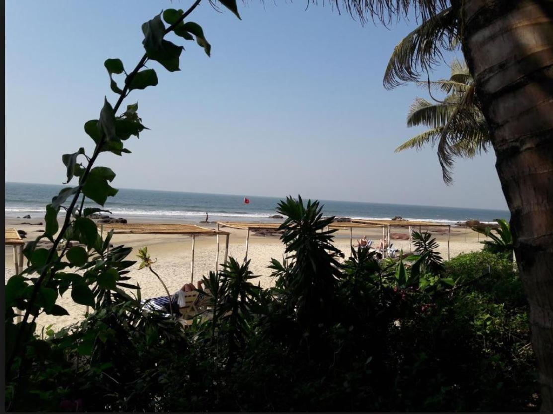 Hotel Shiva Ashvem Ashvem Beach Dış mekan fotoğraf